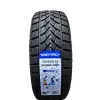 Windforce SnowBlazer